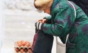 Где в России яйца подорожали меньше всего и почему