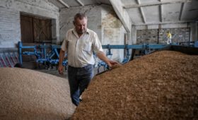 Украинские фермеры рассказали о борьбе с убытками на фоне «смерти» рынка
